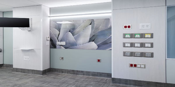 Healthcare & Hospitals