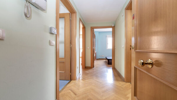 Internal and External Wooden Doors