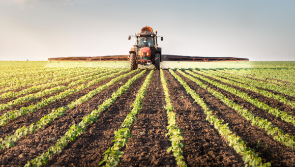 Shoppers Face Smaller and Expensive Vegetables 11 Farming in the UK